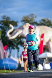 BIB: 
                            <button type="button" onclick="openModal(26541334)" class="btn btn-primary btn-sm float-right btn-popup" data-toggle="modal" data-target=".modal-high-quality">
                        <i class="fas fa-shopping-cart"></i> Add to Cart
                    </button>
                                            <button type="button" onclick="isThisMe(26541334, true)" class="btn btn-success btn-sm float-right btn-popup btn-isme hidden" data-toggle="tooltip" data-placement="bottom" title="นี่คือรูปของคุณใช่ไหม คลิกที่นี่เพื่อเอาเข้าอัลบั้ม">
                        <i class="fas fa-plus"></i> Add to album
                    </button>
                    <button type="button" onclick="isThisMe(26541334, false)" class="btn btn-warning btn-sm float-right btn-popup btn-isnotme hidden">
                        <i class="fas fa-ban"></i> Remove from album
                    </button>